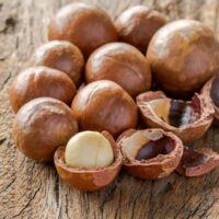 Macadamia Nuts