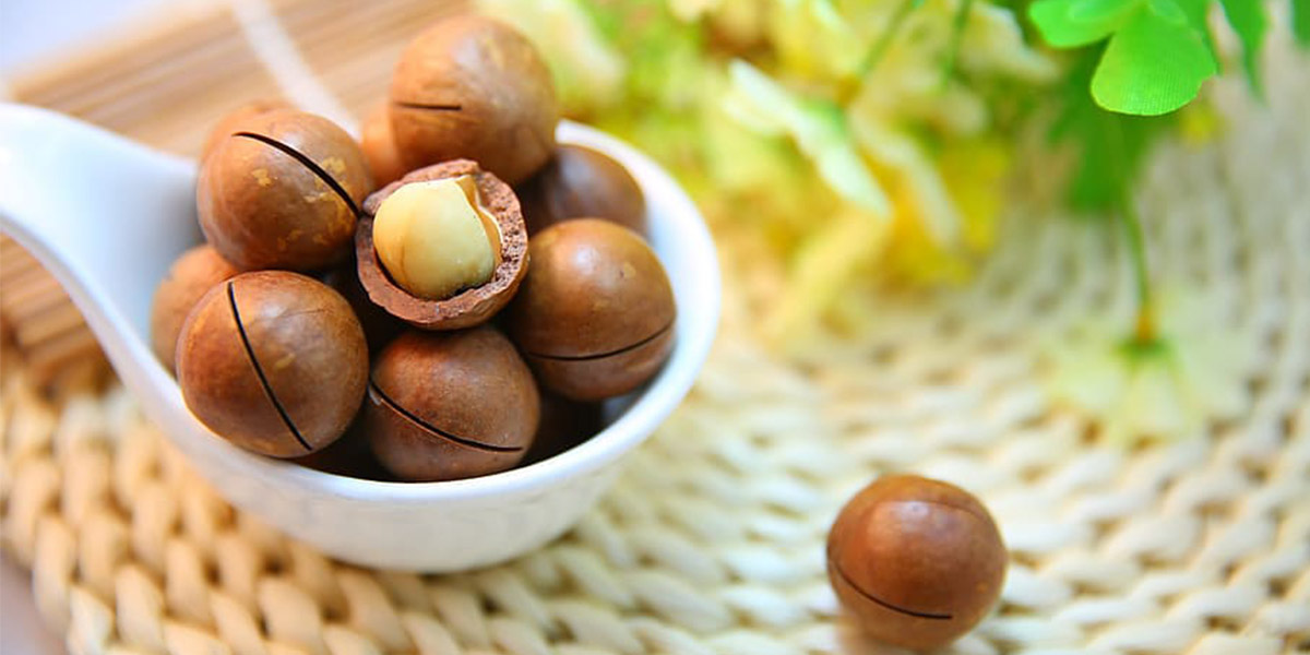 Macadamia