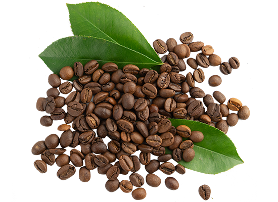 Coffee Beans png