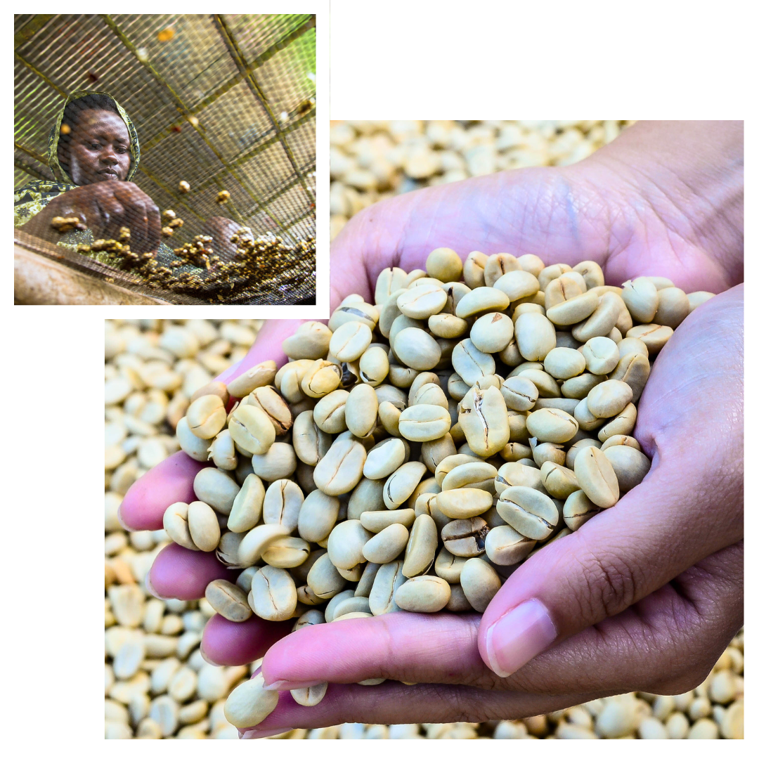 Get in Touch with Dairaan Kenya