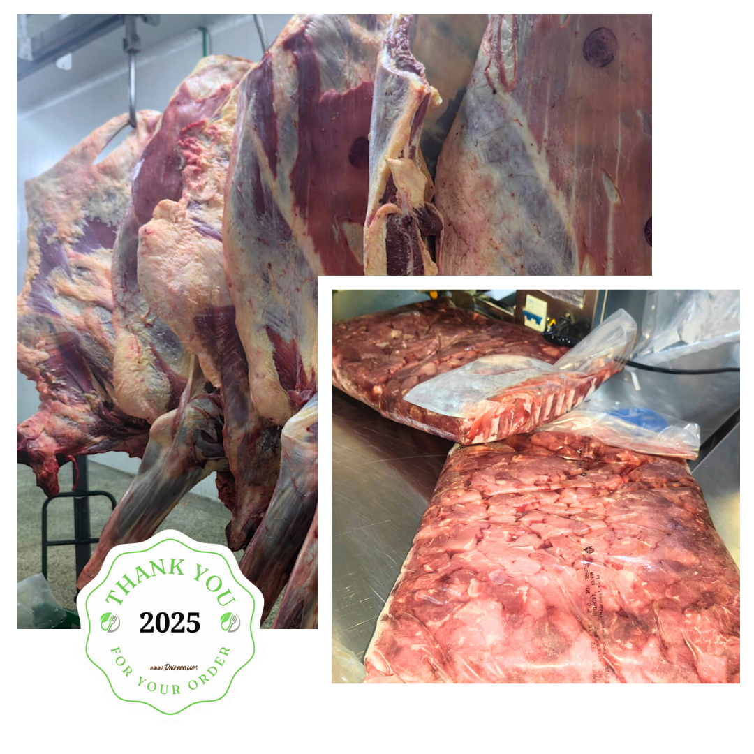 Premium Beef Exports - Dairaan